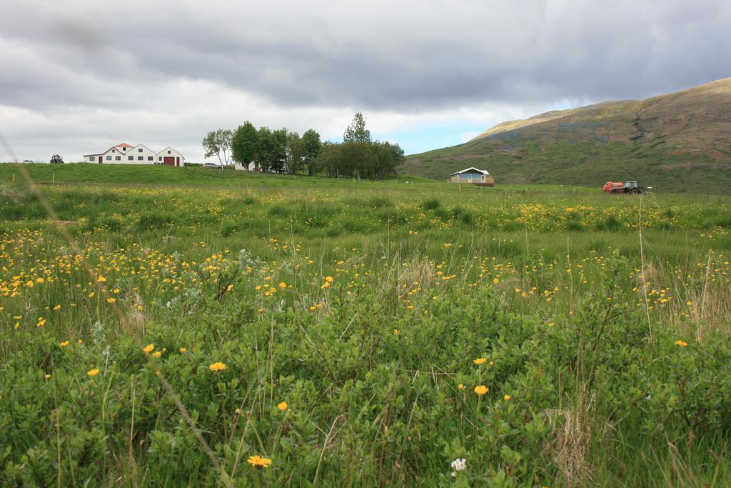 Eyvindartunga Farm Cottage Laugarvatn Extérieur photo
